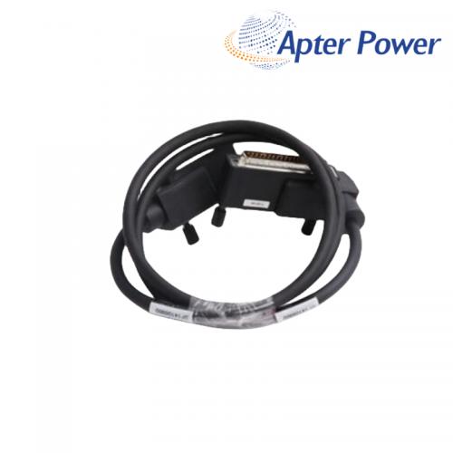 P0916DB Term Cable