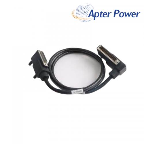 P0931RM   Term Cable