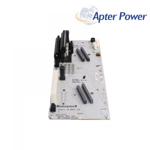 CC-TAIN01  Analog Input Module