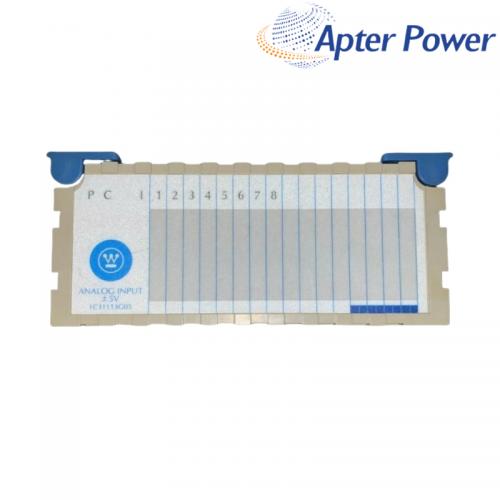 1C31113G05 Analog Input Module