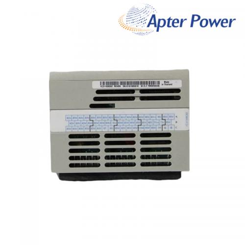 1C31132G01  Analog Output Module