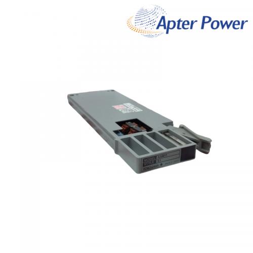 AAM11 S1  Analog Input Module