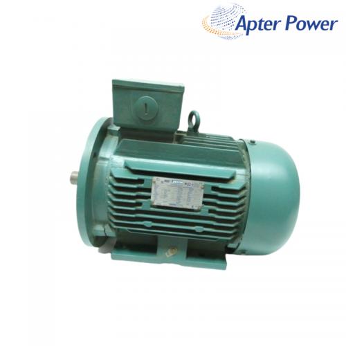 C100T17FZ43A AC Motor