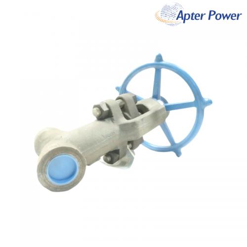 W-9076Z-06TS Manual Steel Socket Weld Globe Valve