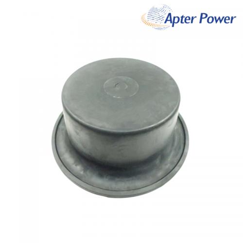 248000002A Diaphragm Repair Kit